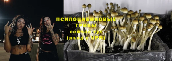 PSILOCYBIN Пролетарск